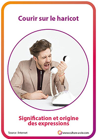 Cartes petits savoirs futiles