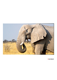 Beauté et préservation de la nature...