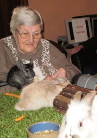 Guizmette a choisi...