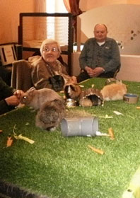 La pins et cochon d'Inde à table...