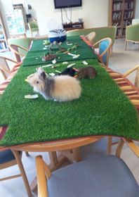 Mise en place du décor...